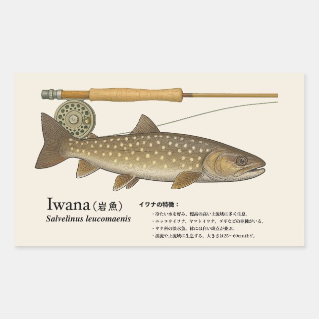Iwana (Salvelinus leucomaenis) – Fish Illustration Rechteckiger Aufkleber (Vorderseite)