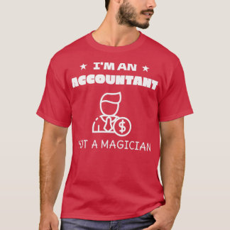 IX27m Buchhalter kein Magier 12 T-Shirt
