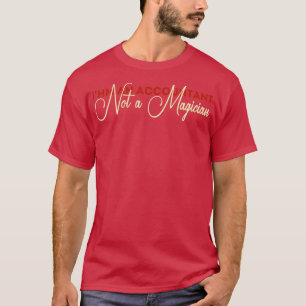 IX27m Buchhalter kein Magier 17 T-Shirt