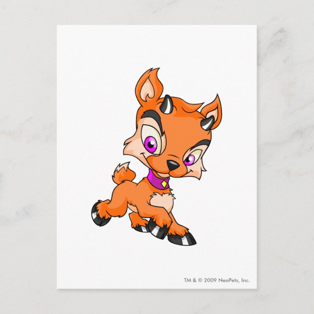 Ixi Orange Postkarte (Vorderseite)