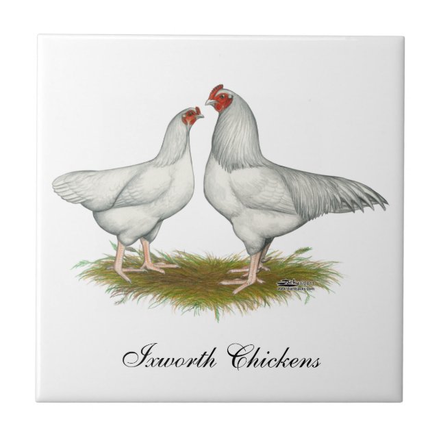 Ixworth Chickens Fliese (Vorderseite)