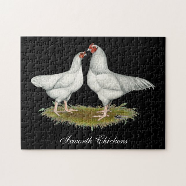 Ixworth Chickens Puzzle (Horizontal)