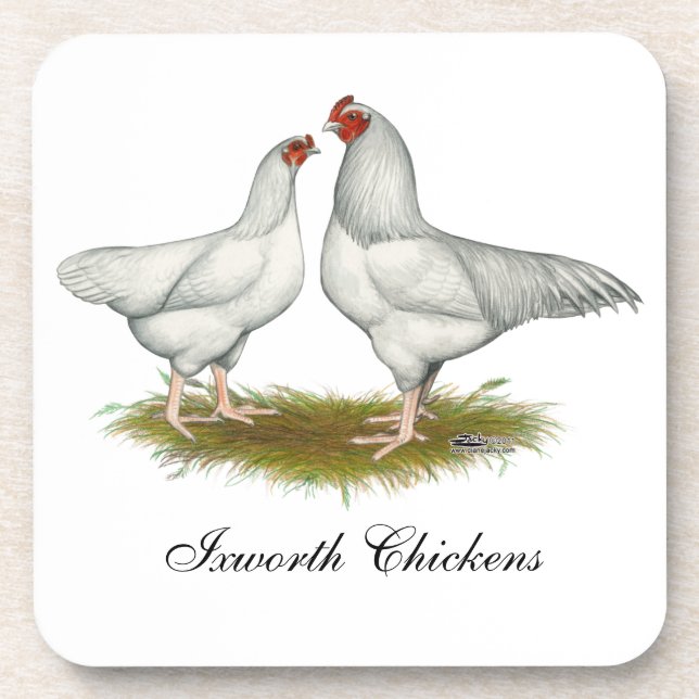 Ixworth Chickens Untersetzer (Vorderseite)
