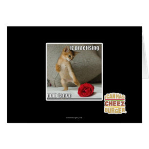 Iz, das Milliamperestunden-Tango übt