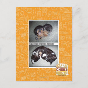 iz hadz mr. snuggies forebber postkarte