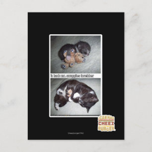 iz hadz mr. snuggies forebber postkarte