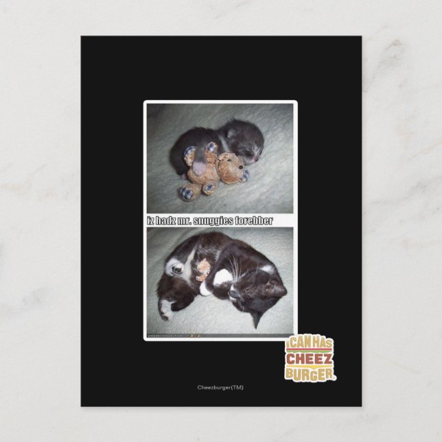 iz hadz mr. snuggies forebber postkarte (Vorderseite)