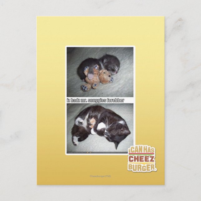 iz hadz mr. snuggies forebber postkarte (Vorderseite)