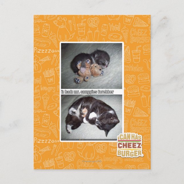 iz hadz mr. snuggies forebber postkarte (Vorderseite)