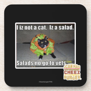 Iz I nicht eine Katze. Iz ein Salat Getränkeuntersetzer