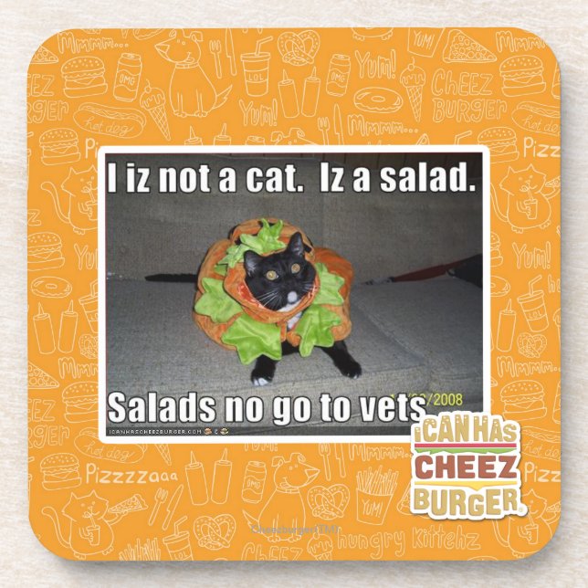 Iz I nicht eine Katze. Iz ein Salat Getränkeuntersetzer (Vorderseite)
