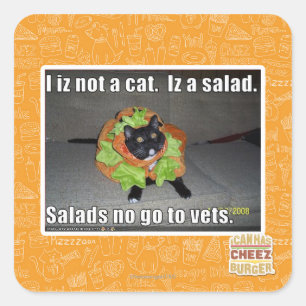 Iz I nicht eine Katze. Iz ein Salat Quadratischer Aufkleber