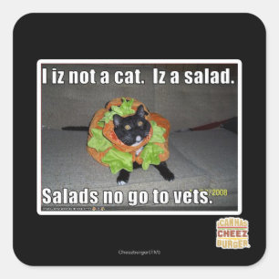 Iz I nicht eine Katze. Iz ein Salat Quadratischer Aufkleber