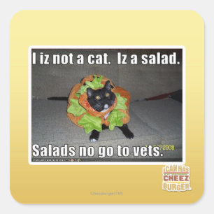 Iz I nicht eine Katze. Iz ein Salat Quadratischer Aufkleber