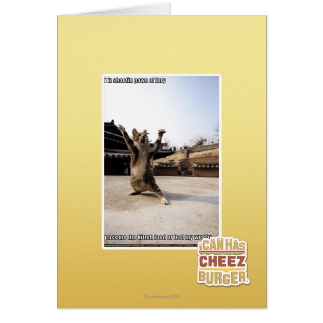 Iz I shaolin Tatzen der Wut (Vorne)