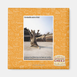 Iz I shaolin Tatzen der Wut Magnet