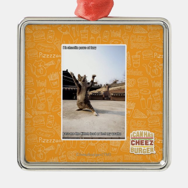 Iz I shaolin Tatzen der Wut Ornament Aus Metall (Vorne)