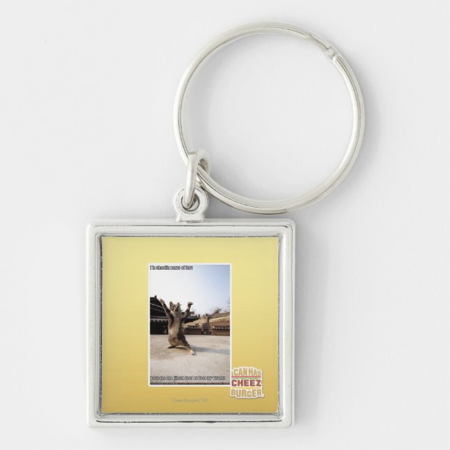 Iz I shaolin Tatzen der Wut Schlüsselanhänger (Vorne)