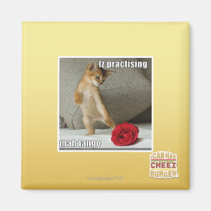 Iz übt Mah Tango Magnet