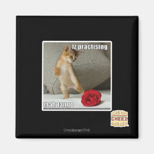 Iz übt Mah Tango Magnet