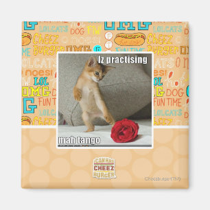 Iz übt Mah Tango Magnet