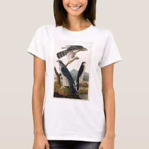 J.J. Audubon (Hühnerhabicht, Stanley-Falke) (1829) T-Shirt