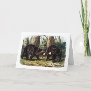 J.W. Audubon - Ursus Americanus Black Bar Karte