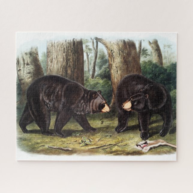 J.W. Audubon - Ursus Americanus Black Bar Puzzle (Horizontal)