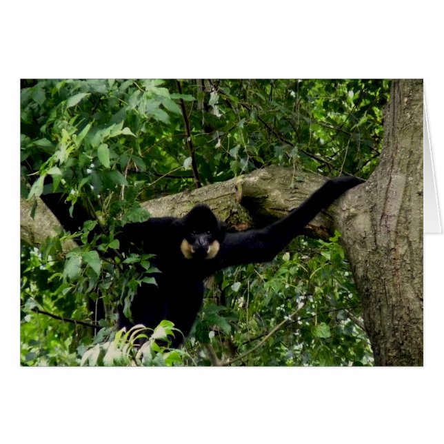 Ja! (Vorderseite (Horizontal))