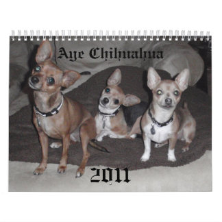 Ja Chihuahua 2011 Kalender
