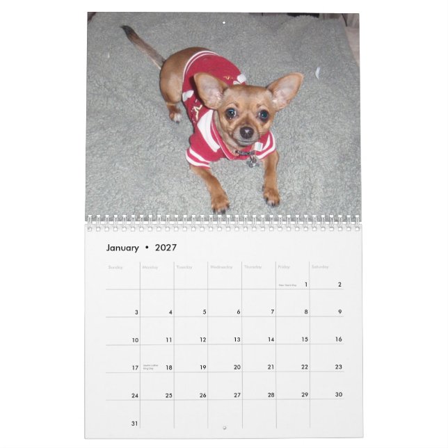 Ja Chihuahua 2011 Kalender (Jan 2027)