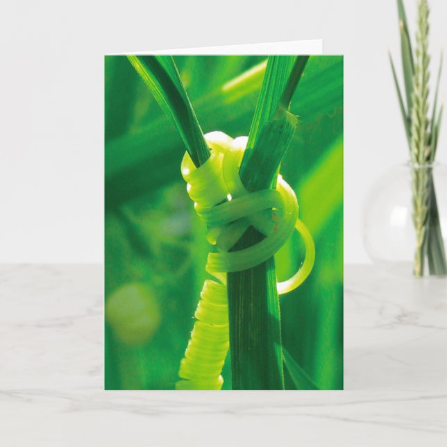 Ja, das kannst du! Rosie the Riveter Tendril Vine Karte (Vorderseite)