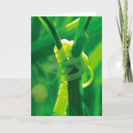 Ja, das kannst du! Rosie the Riveter Tendril Vine Karte