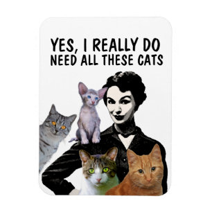 JA, ICH BRAUCHE WIRKLICH ALL DIESE KATZEN KATZMAGN MAGNET