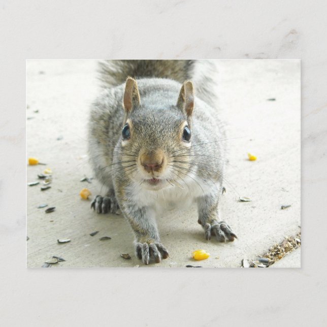 "Ja, ich möchte etwas essen" Postkarte (Vorderseite)