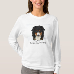 Ja ist dieses ein Bernese Gebirgshund! T-Shirt