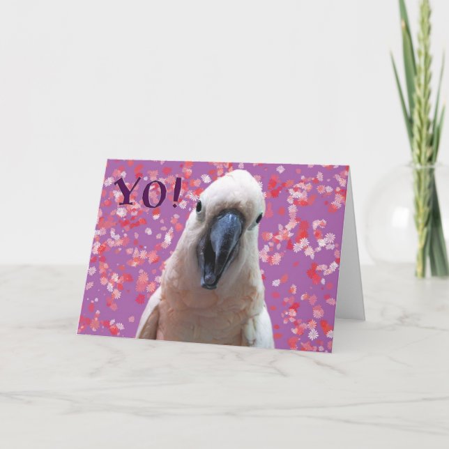 JA! KARTE (Vorderseite)