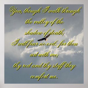Ja, obwohl ich durch das Tal der Todespost gehe Poster