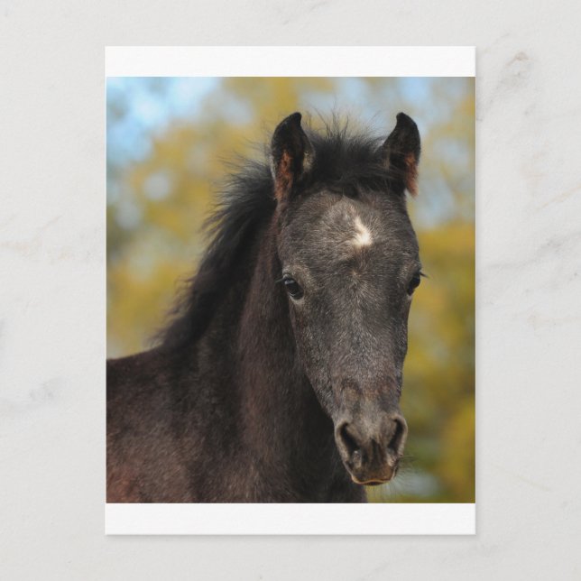 Ja? Postkarte (Vorderseite)