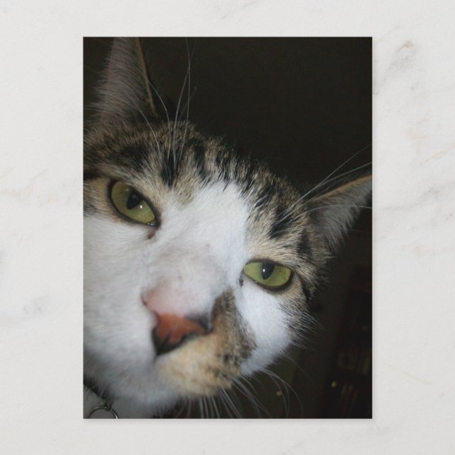 Ja! Postkarte (Vorderseite)