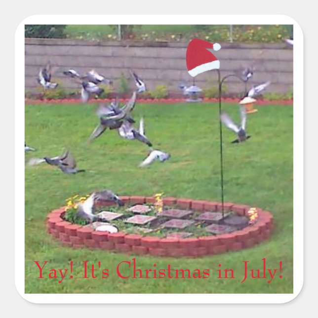 Ja! Weihnachten im Juli, Vögel am Züchter Quadratischer Aufkleber (Vorderseite)