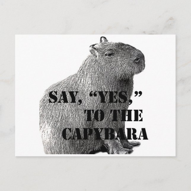"Ja" zur Postkarte von Capybara (Vorderseite)