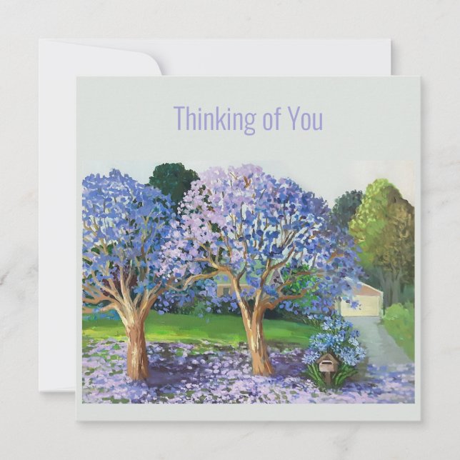 Jacaranda-Bäume (Vorderseite)