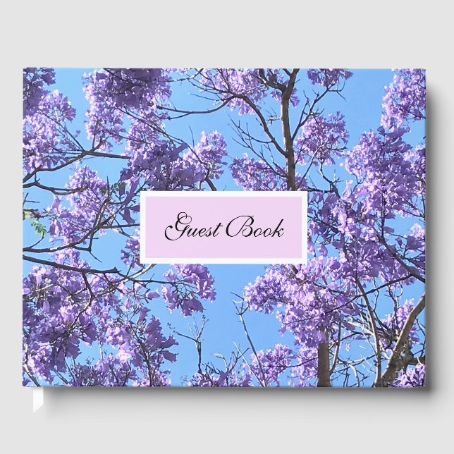 Jacaranda Blossoms Gästebuch (Vorderseite)