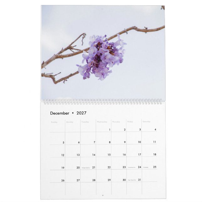Jacaranda Blume Kalender (Dez 2027)