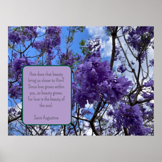 Jacaranda Lila Poster (Vorne)