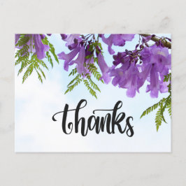 Jacaranda Purple Blumen blühen auf dem Baum Postkarte