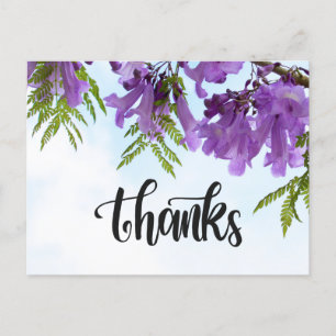 Jacaranda Purple Blumen blühen auf dem Baum Postkarte