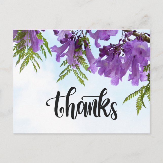 Jacaranda Purple Blumen blühen auf dem Baum Postkarte (Vorderseite)