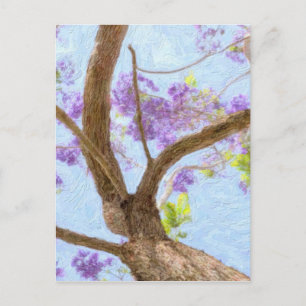 Jacaranda Tree Postkarte